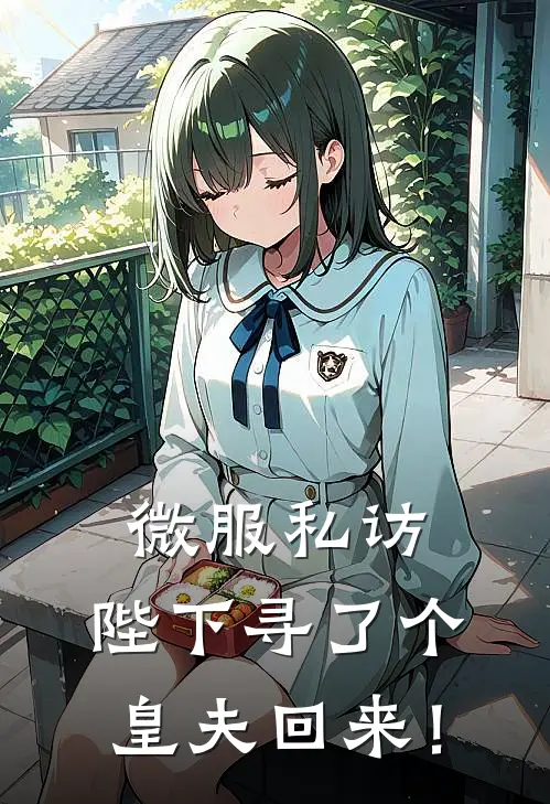 微服私访：陛下寻了个皇夫回来！