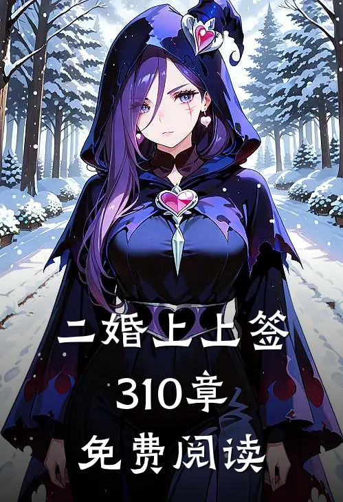 二婚上上签310章免费阅读