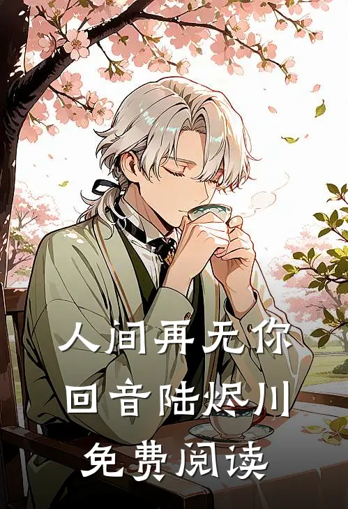 人间再无你回音陆烬川免费阅读